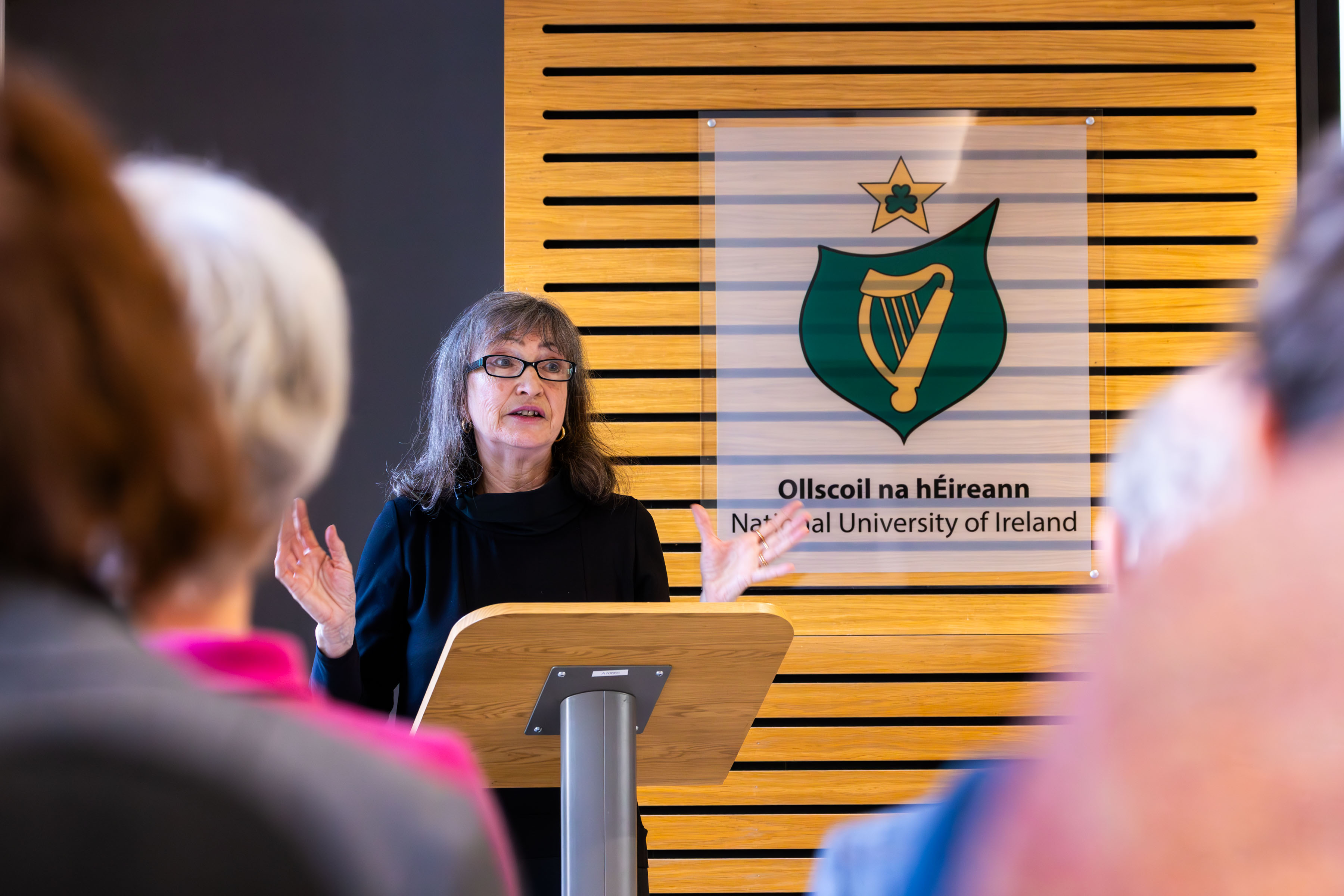 Prof Mary Gallagher at the NUI ‘Higher Education Today and Tomorrow’ seminar